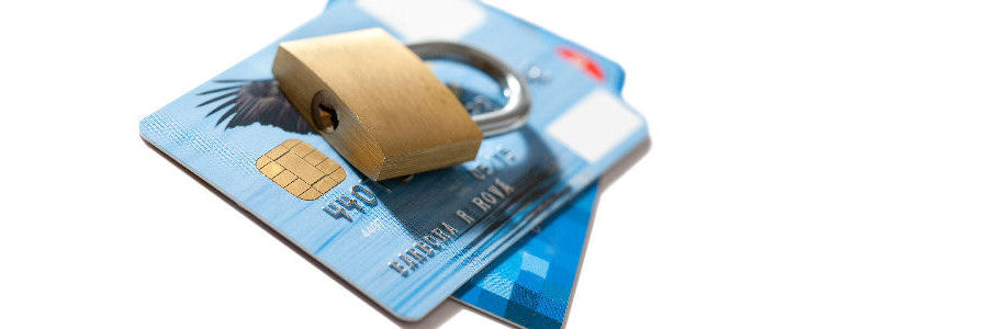 Secure credit card payment system included